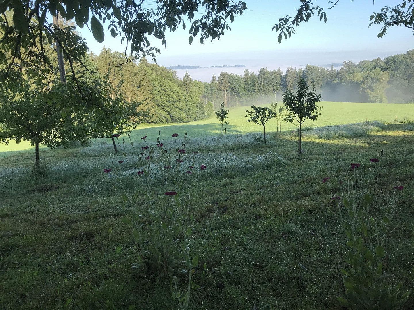 Prodej domu 189 m², pozemek 2.000 m², Fürstenstein, Bavorsko Prodej domu 189 m², pozemek 2.000 m², Fürstenstein, Bavorsko