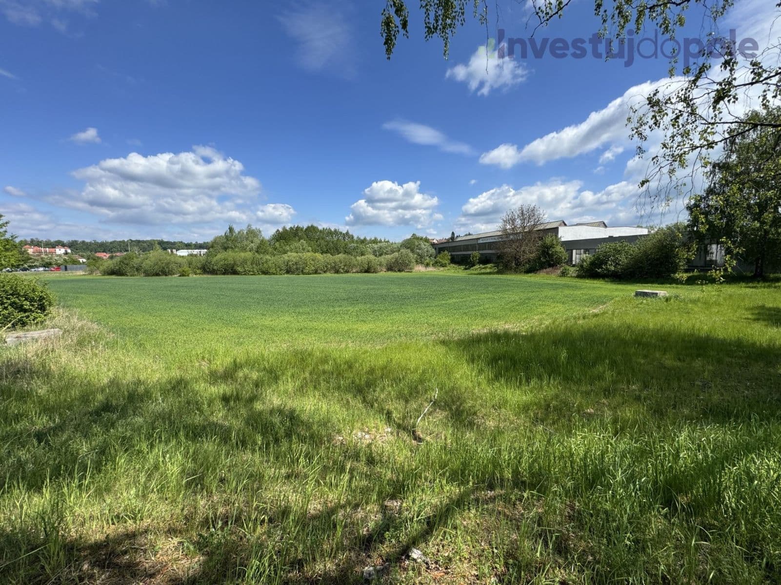 Prodej pozemku 6.982 m², Bučovice, Jihomoravský kraj Prodej pozemku 6.982 m², Bučovice, Jihomoravský kraj