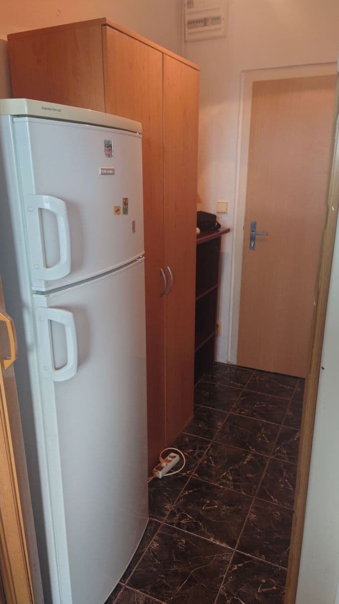 Pronájem bytu 1+kk 20 m², Štúrova, Praha, Praha Pronájem bytu 1+kk 20 m², Štúrova, Praha, Praha