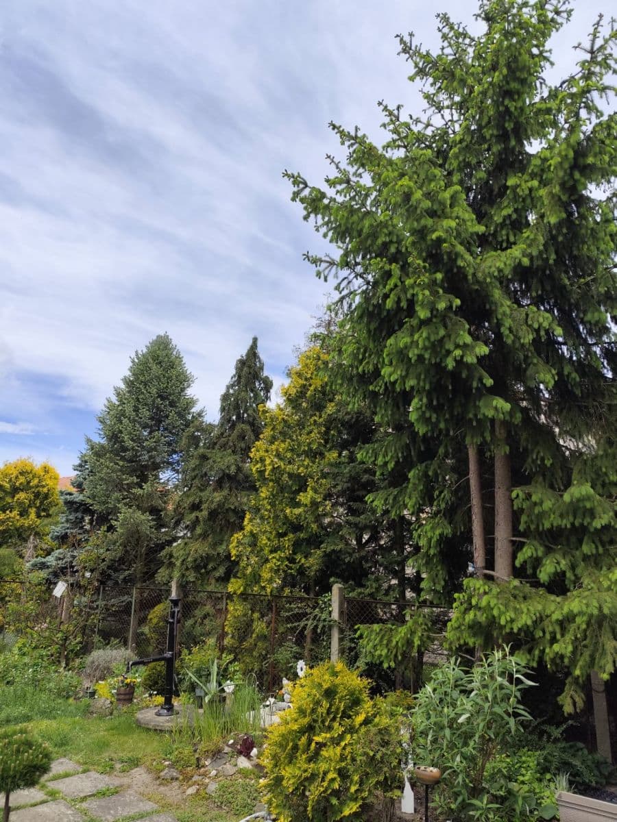 Prodej domu 78 m², pozemek 650 m², Eliášova, Loučeň, Středočeský kraj Prodej domu 78 m², pozemek 650 m², Eliášova, Loučeň, Středočeský kraj
