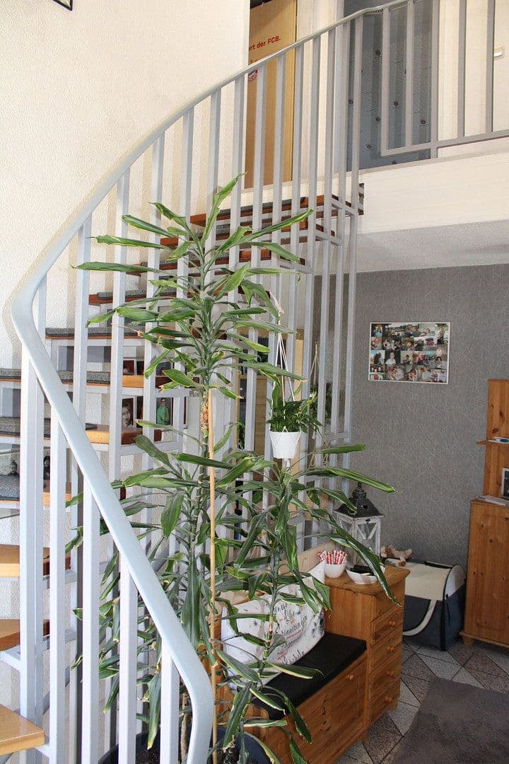 Prodej domu 163 m², pozemek 878 m², Allendorf (Eder), Hessen Prodej domu 163 m², pozemek 878 m², Allendorf (Eder), Hessen