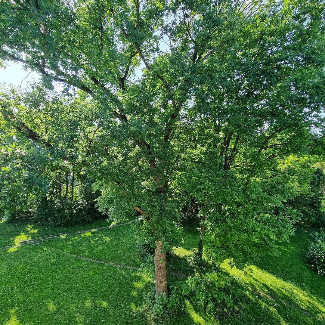 Pronájem bytu 2+1 43 m², Linkstraße 9, München, Bavorsko Pronájem bytu 2+1 43 m², Linkstraße 9, München, Bavorsko