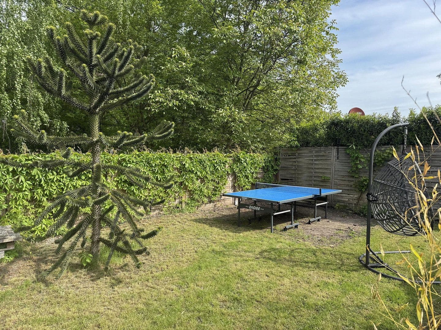 Pronájem bytu 1+1 12 m², Berlin - Reinickendorf, Berlín Pronájem bytu 1+1 12 m², Berlin - Reinickendorf, Berlín