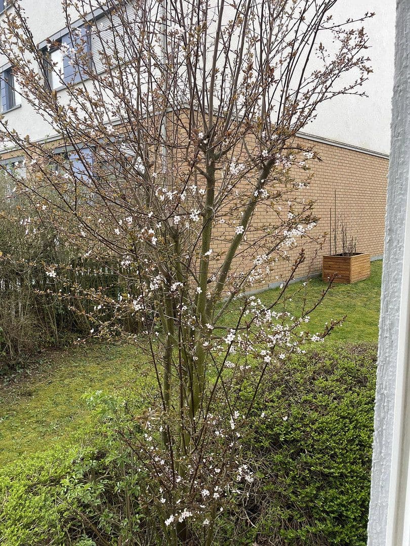 Prodej bytu 2+1 65 m², Bad Homburg vor der Höhe, Hessen Prodej bytu 2+1 65 m², Bad Homburg vor der Höhe, Hessen