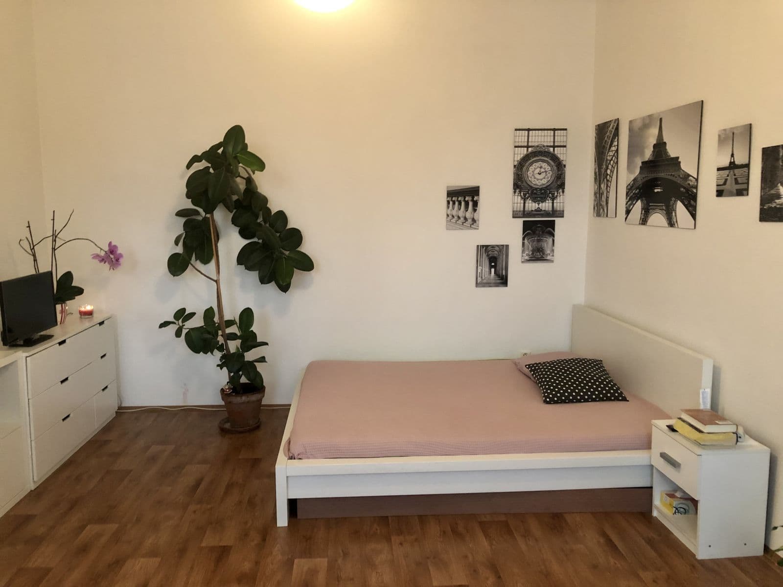 Pronájem bytu 1+kk 50 m², Na hrázi, Olomouc, Olomoucký kraj Pronájem bytu 1+kk 50 m², Na hrázi, Olomouc, Olomoucký kraj
