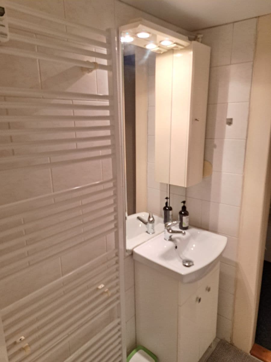 Pronájem bytu 1+kk 32 m², Vinohradská, Praha, Praha Pronájem bytu 1+kk 32 m², Vinohradská, Praha, Praha