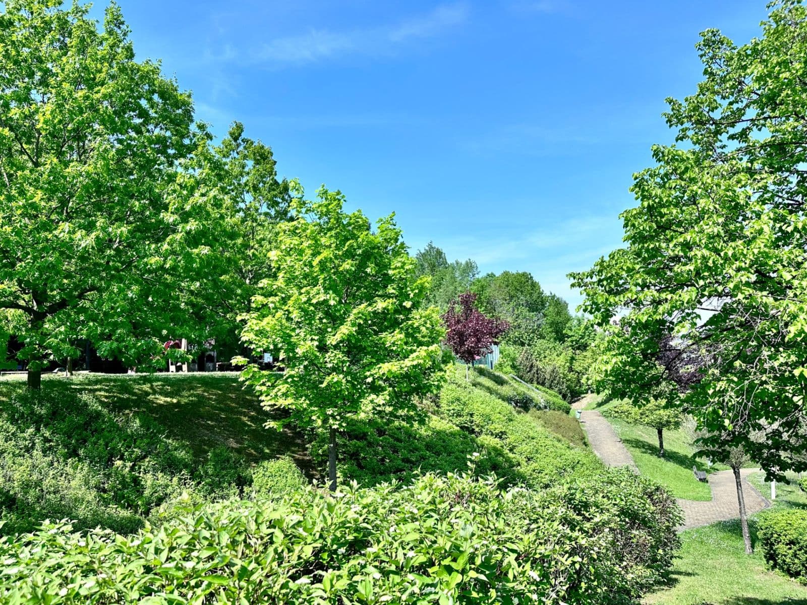 Prodej bytu 3+kk 207 m², Na Pomezí, Praha, Praha Prodej bytu 3+kk 207 m², Na Pomezí, Praha, Praha