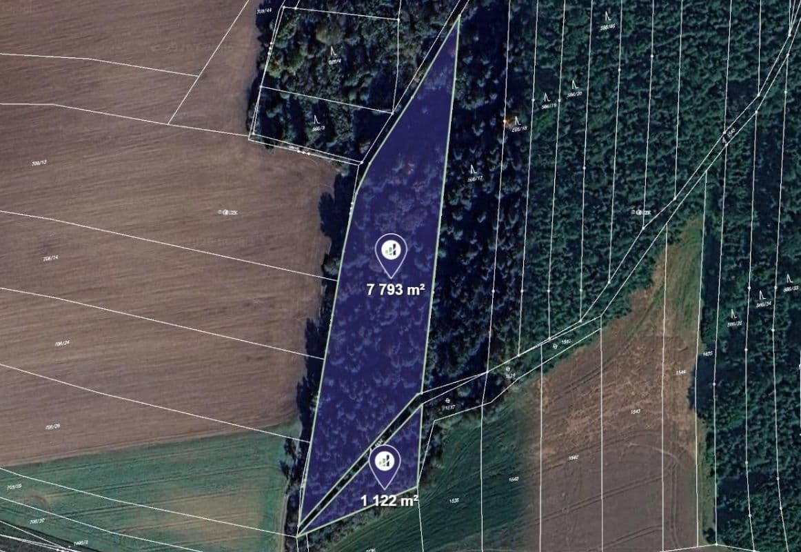 Prodej pozemku 8.915 m², Blížejov, Plzeňský kraj Prodej pozemku 8.915 m², Blížejov, Plzeňský kraj