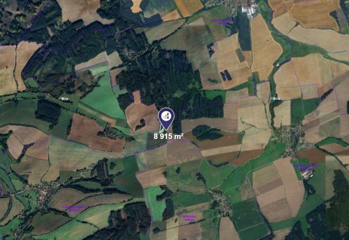 Prodej pozemku 8.915 m², Blížejov, Plzeňský kraj Prodej pozemku 8.915 m², Blížejov, Plzeňský kraj