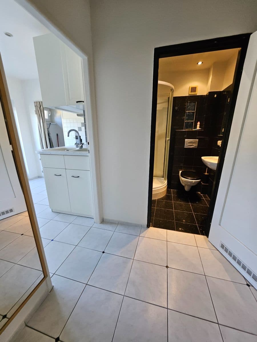 Pronájem bytu 2+1 53 m², Vrchlického, Praha, Praha Pronájem bytu 2+1 53 m², Vrchlického, Praha, Praha