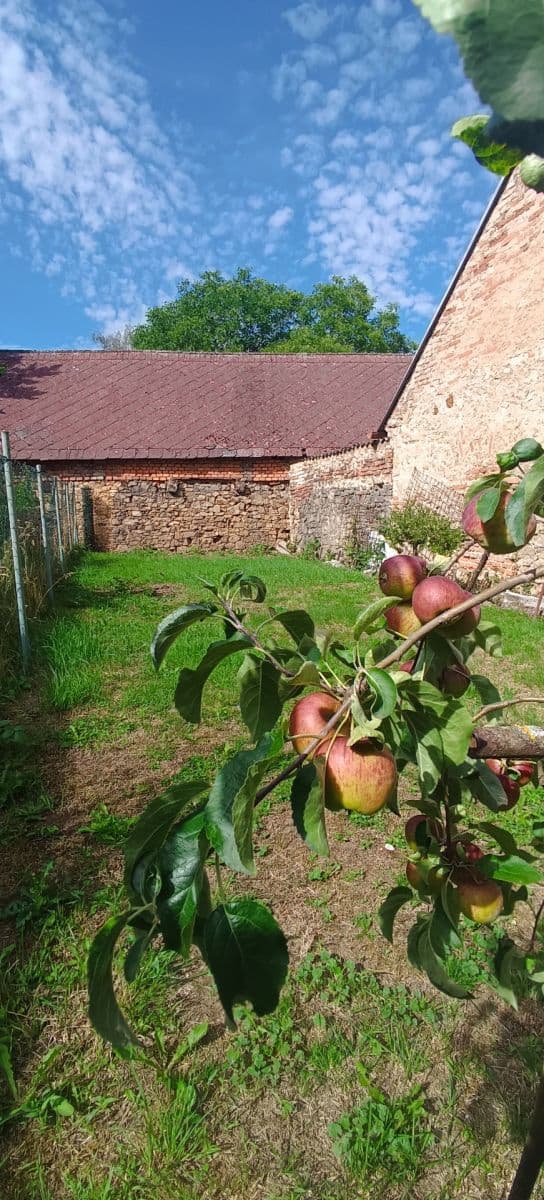 Pronájem bytu 2+1 60 m², Mezouň, Středočeský kraj Pronájem bytu 2+1 60 m², Mezouň, Středočeský kraj