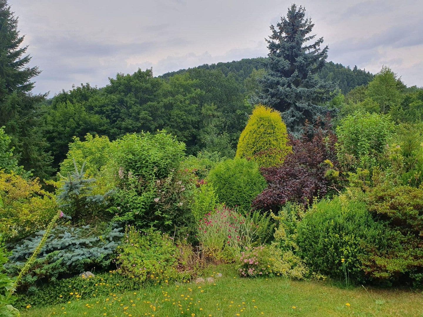 Prodej domu 103 m², pozemek 950 m², Aue-Bad Schlema, Sasko Prodej domu 103 m², pozemek 950 m², Aue-Bad Schlema, Sasko