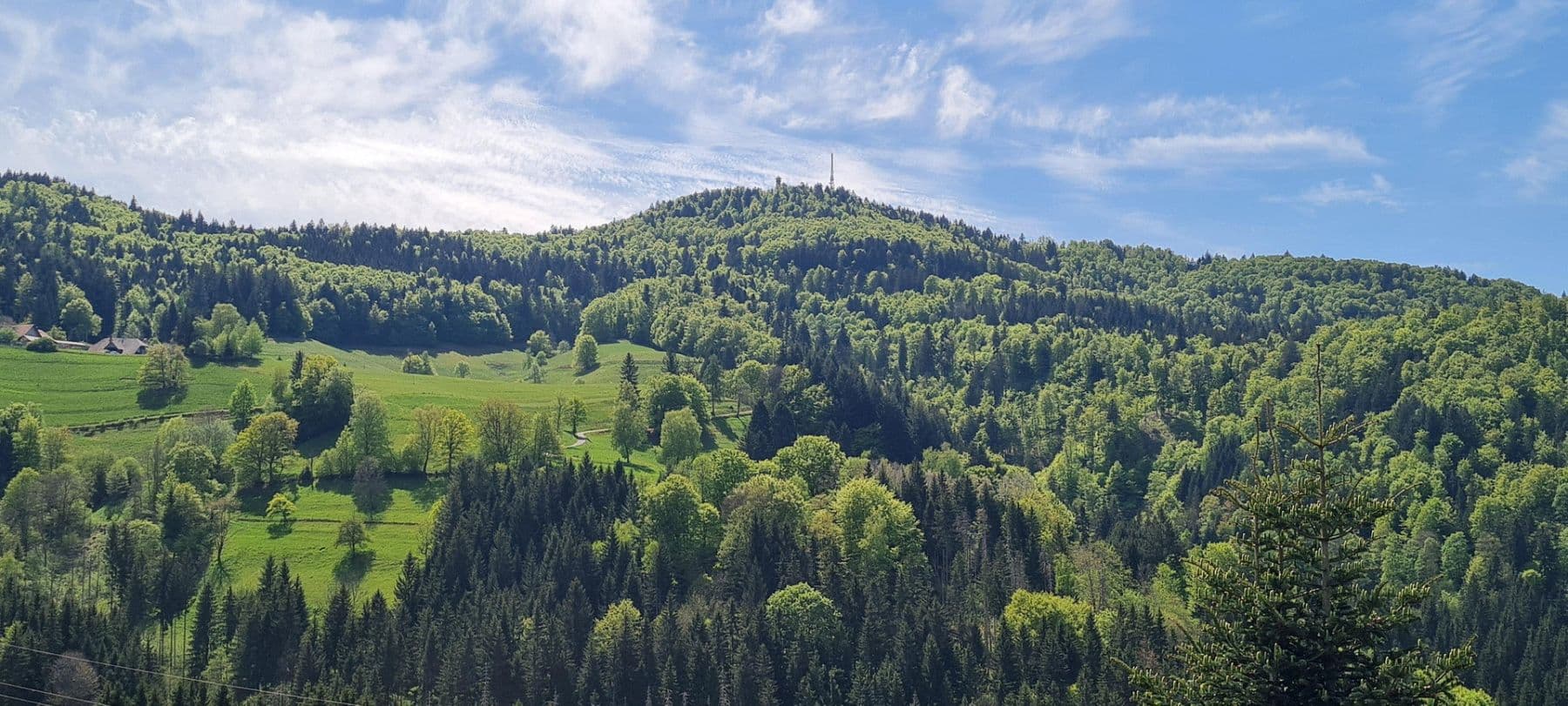 Prodej bytu 3+kk 78 m², Bürchbühl 8, Zell im Wiesental, Bádensko-Württembersko Prodej bytu 3+kk 78 m², Bürchbühl 8, Zell im Wiesental, Bádensko-Württembersko