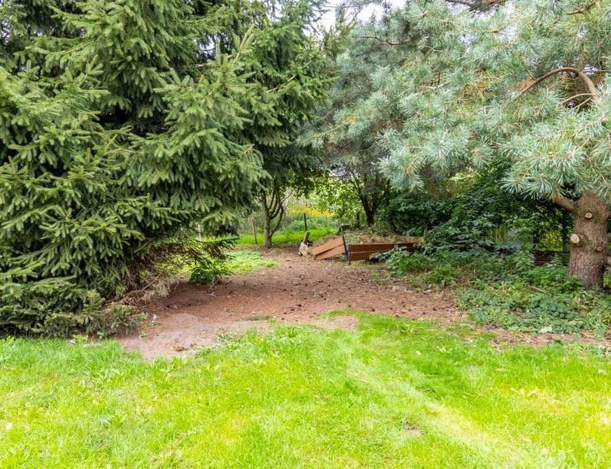 Prodej domu 184 m², pozemek 4.456 m², Wingst, Dolní Sasko Prodej domu 184 m², pozemek 4.456 m², Wingst, Dolní Sasko