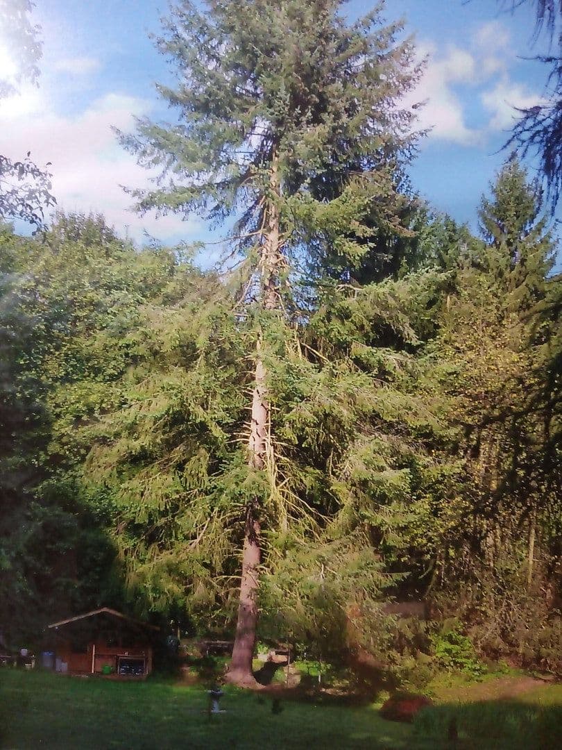 Prodej domu 153 m², pozemek 4.000 m², Ramsen, Porýní-Falc Prodej domu 153 m², pozemek 4.000 m², Ramsen, Porýní-Falc