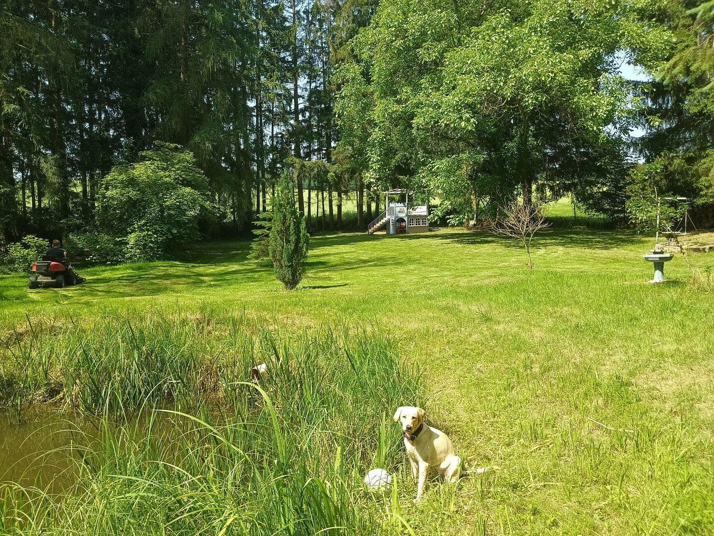 Prodej domu 153 m², pozemek 4.000 m², Ramsen, Porýní-Falc Prodej domu 153 m², pozemek 4.000 m², Ramsen, Porýní-Falc