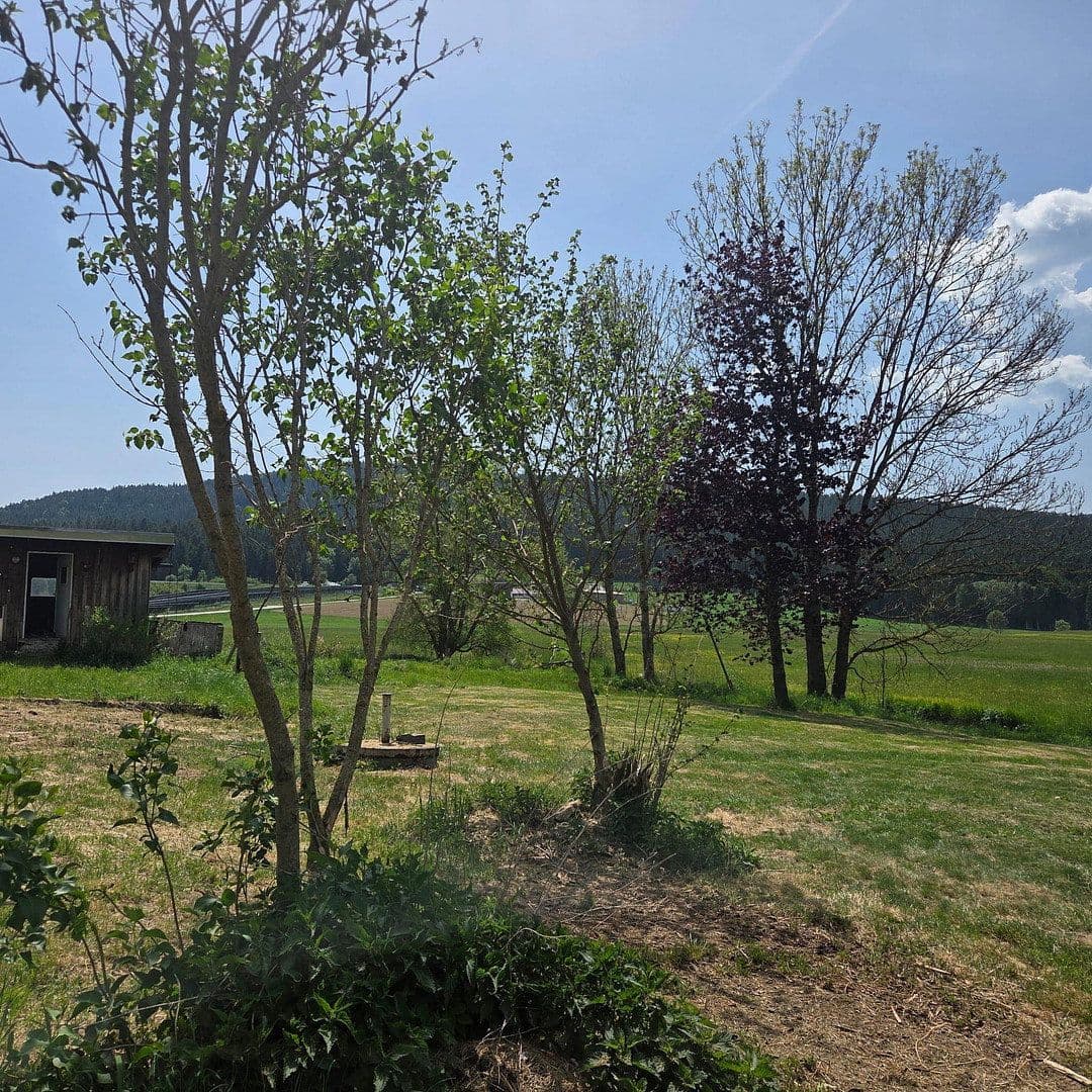 Prodej domu 144 m², pozemek 8.028 m², Regen, Bavorsko Prodej domu 144 m², pozemek 8.028 m², Regen, Bavorsko