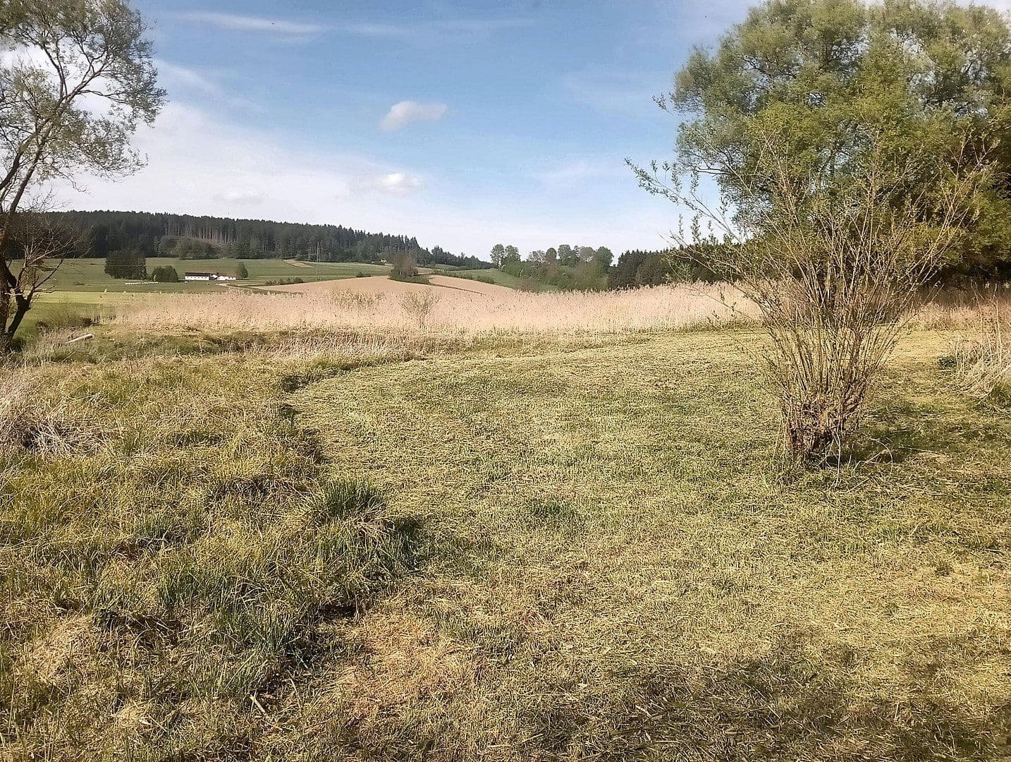 Prodej domu 144 m², pozemek 8.028 m², Regen, Bavorsko Prodej domu 144 m², pozemek 8.028 m², Regen, Bavorsko