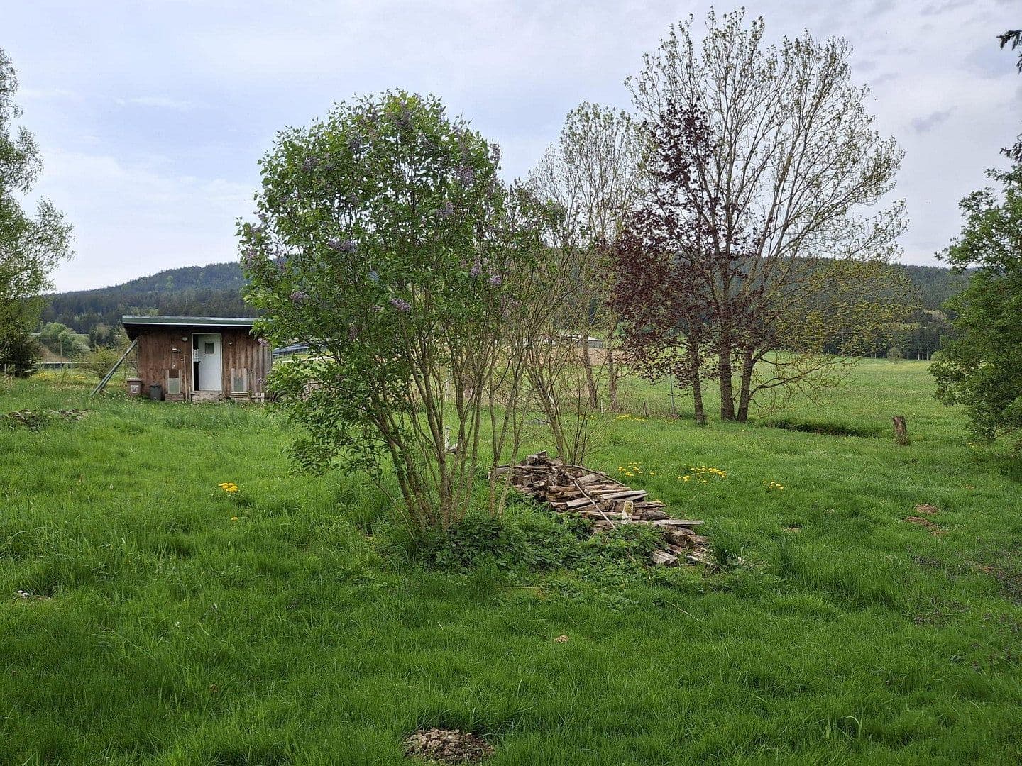 Prodej domu 144 m², pozemek 8.028 m², Regen, Bavorsko Prodej domu 144 m², pozemek 8.028 m², Regen, Bavorsko
