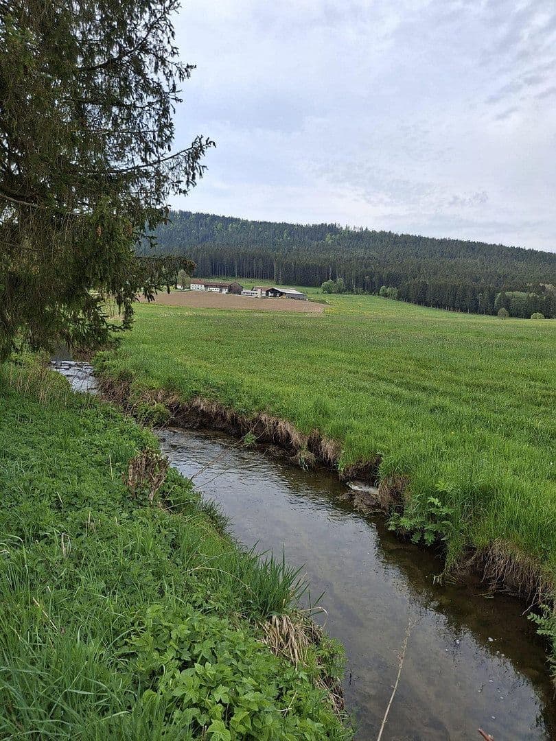 Prodej domu 144 m², pozemek 8.028 m², Regen, Bavorsko Prodej domu 144 m², pozemek 8.028 m², Regen, Bavorsko