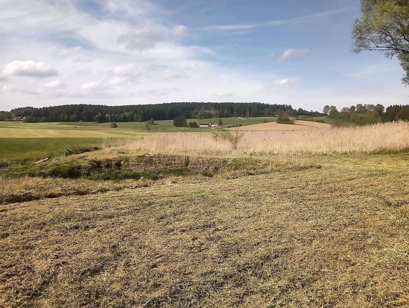 Prodej domu 144 m², pozemek 8.028 m², Regen, Bavorsko Prodej domu 144 m², pozemek 8.028 m², Regen, Bavorsko