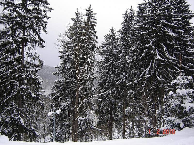 Pronájem chaty, chalupy, Rokytnice nad Jizerou, Liberecký kraj Pronájem chaty, chalupy, Rokytnice nad Jizerou, Liberecký kraj