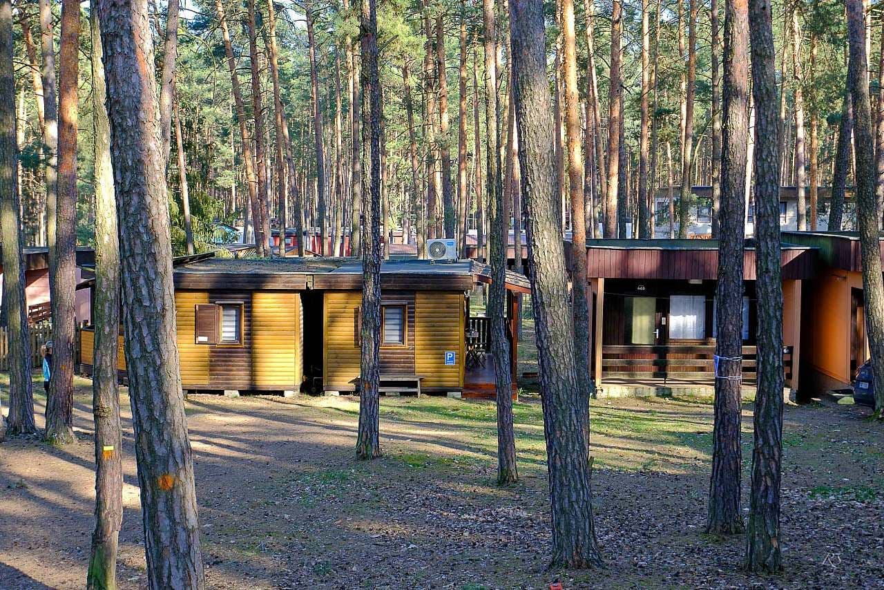 Pronájem chaty, chalupy, Doksy, Liberecký kraj Pronájem chaty, chalupy, Doksy, Liberecký kraj