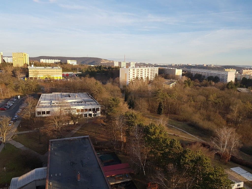 Pronájem bytu 3+1 67 m², Loosova, Brno, Jihomoravský kraj Pronájem bytu 3+1 67 m², Loosova, Brno, Jihomoravský kraj