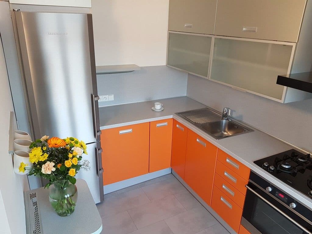Pronájem bytu 3+1 67 m², Loosova, Brno, Jihomoravský kraj Pronájem bytu 3+1 67 m², Loosova, Brno, Jihomoravský kraj
