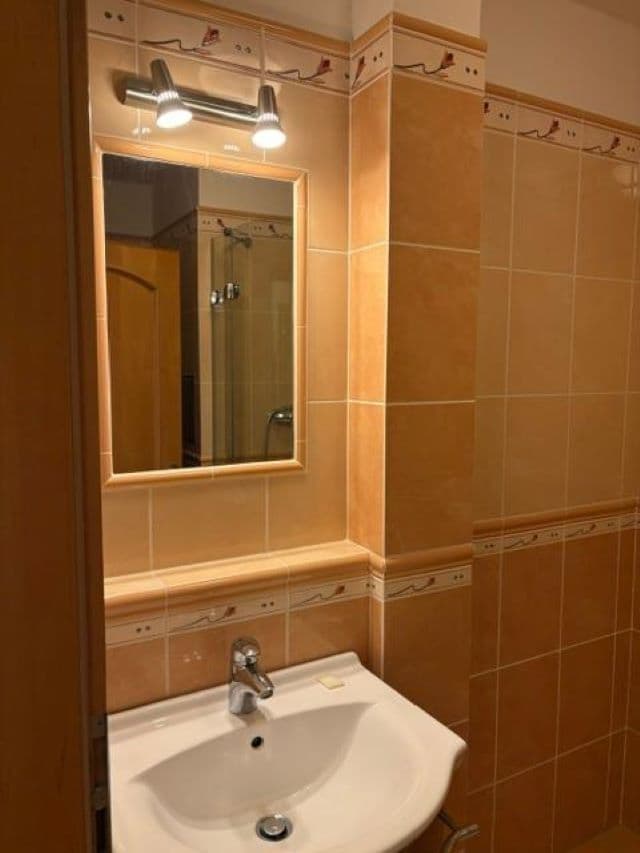 Pronájem bytu 1+kk 37 m², K Lučinám, Praha, Praha Pronájem bytu 1+kk 37 m², K Lučinám, Praha, Praha