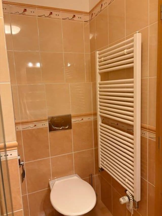 Pronájem bytu 1+kk 37 m², K Lučinám, Praha, Praha Pronájem bytu 1+kk 37 m², K Lučinám, Praha, Praha