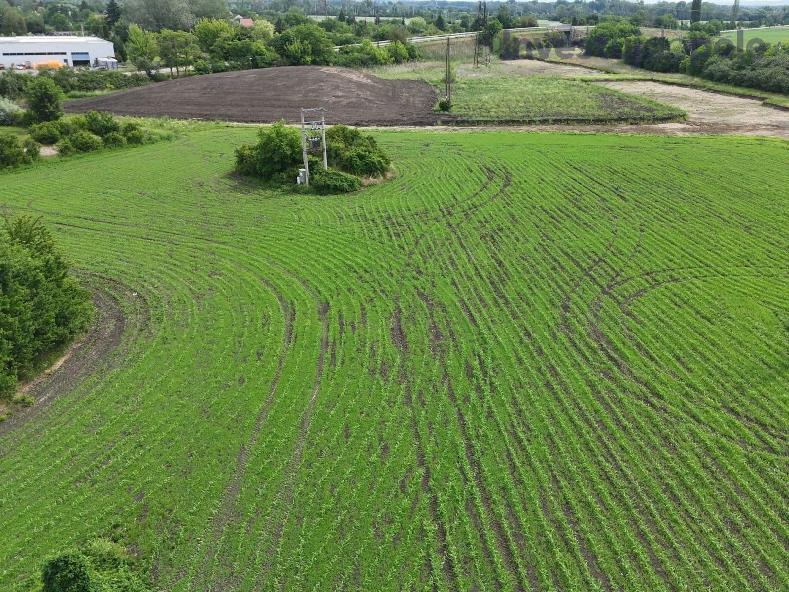 Prodej pozemku 2.675 m², Břeclav, Jihomoravský kraj Prodej pozemku 2.675 m², Břeclav, Jihomoravský kraj