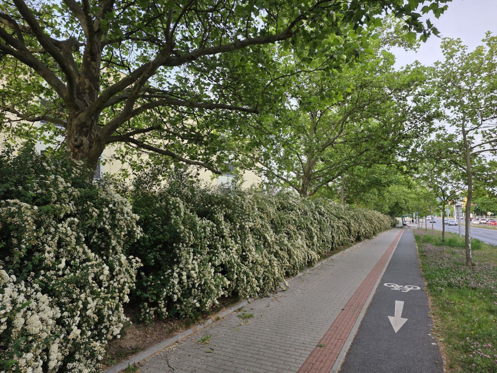 Pronájem garáže 16 m², Plzeň, Plzeňský kraj Pronájem garáže 16 m², Plzeň, Plzeňský kraj