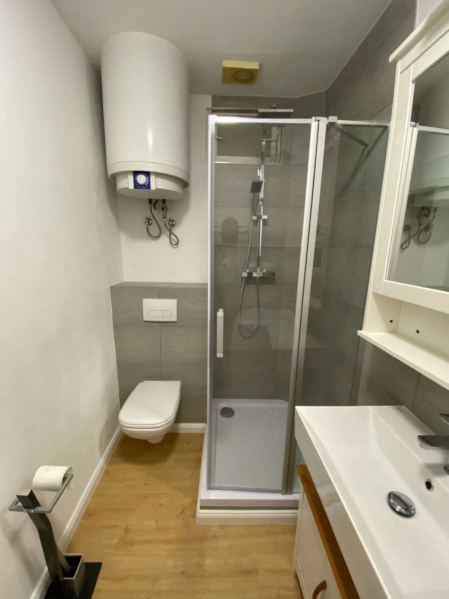 Pronájem bytu 2+1 50 m², Argentinská, Praha, Praha Pronájem bytu 2+1 50 m², Argentinská, Praha, Praha