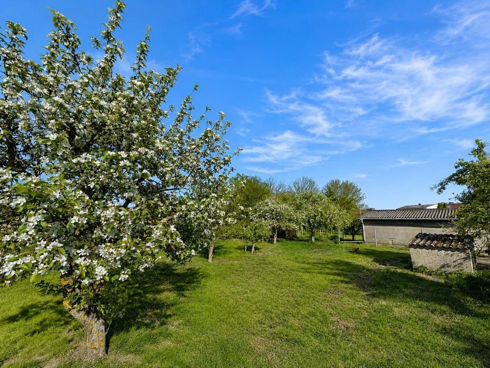 Prodej domu 123 m², pozemek 1.553 m², Lassan, Mecklenburg-Vorpommern Prodej domu 123 m², pozemek 1.553 m², Lassan, Mecklenburg-Vorpommern