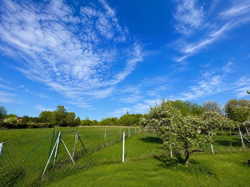 Prodej domu 123 m², pozemek 1.553 m², Lassan, Mecklenburg-Vorpommern Prodej domu 123 m², pozemek 1.553 m², Lassan, Mecklenburg-Vorpommern