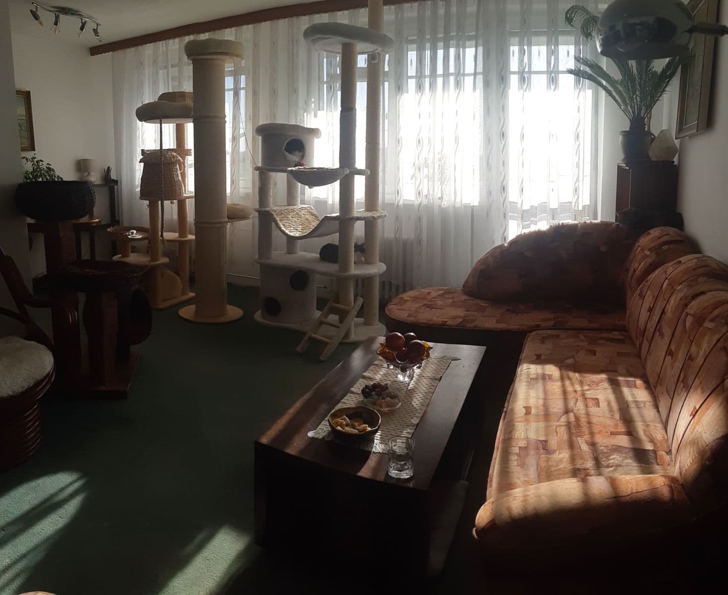 Prodej bytu 3+kk 70 m², Jiránkova, Praha, Praha Prodej bytu 3+kk 70 m², Jiránkova, Praha, Praha