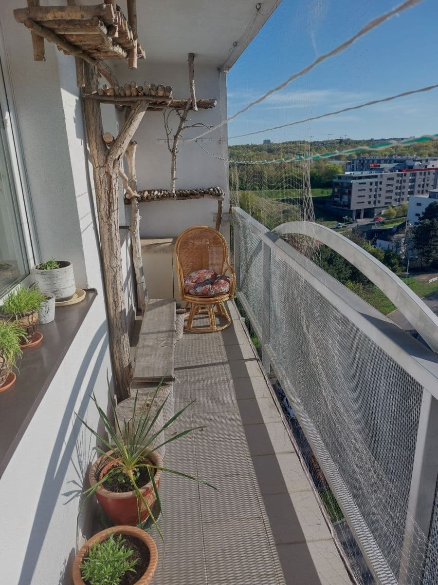 Prodej bytu 3+kk 70 m², Jiránkova, Praha, Praha Prodej bytu 3+kk 70 m², Jiránkova, Praha, Praha