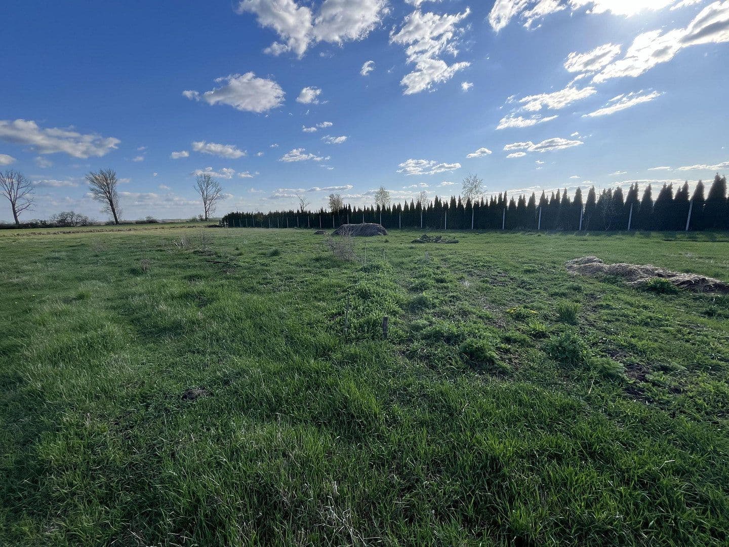 Prodej domu 140 m², pozemek 5.000 m², Dolgeliner Str 18, Alt Tucheband, Braniborsko Prodej domu 140 m², pozemek 5.000 m², Dolgeliner Str 18, Alt Tucheband, Braniborsko