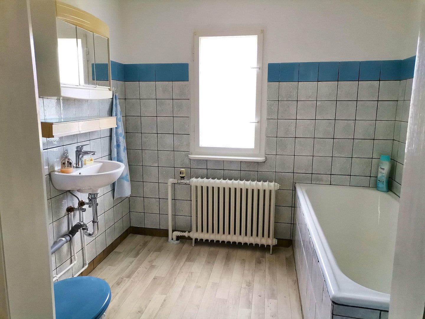 Prodej domu 157 m², pozemek 701 m², Berlin Mahlsdorf, Berlín Prodej domu 157 m², pozemek 701 m², Berlin Mahlsdorf, Berlín