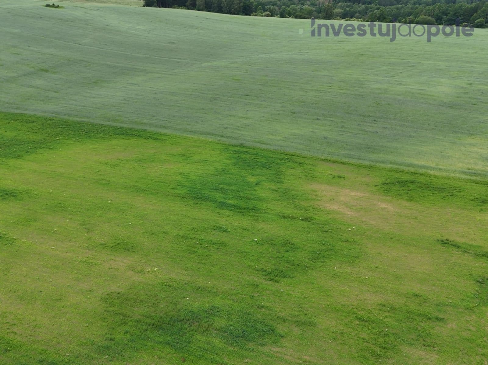Prodej pozemku 74.010 m², Otovice, Karlovarský kraj Prodej pozemku 74.010 m², Otovice, Karlovarský kraj