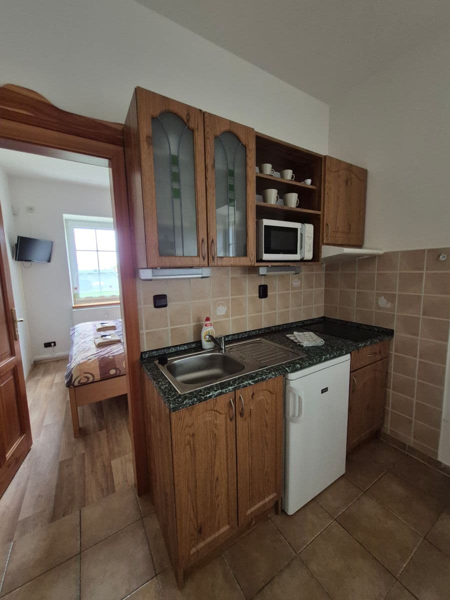 Pronájem bytu 1+1 32 m², Černý Důl, Královéhradecký kraj Pronájem bytu 1+1 32 m², Černý Důl, Královéhradecký kraj