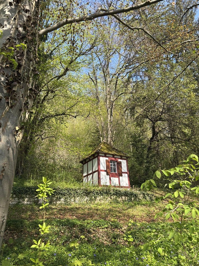 Prodej domu 312 m², pozemek 3.680 m², Westhausen, Bádensko-Württembersko Prodej domu 312 m², pozemek 3.680 m², Westhausen, Bádensko-Württembersko