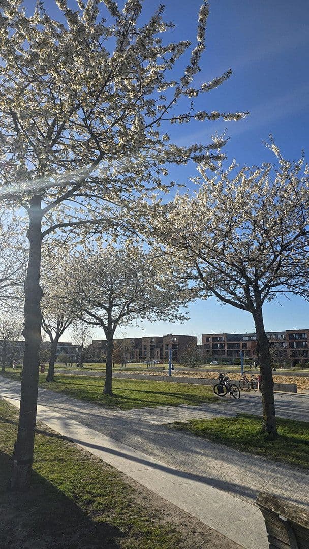 Pronájem bytu 3+1 116 m², Torfstecherweg 52, Hamburg, Hamburg Pronájem bytu 3+1 116 m², Torfstecherweg 52, Hamburg, Hamburg