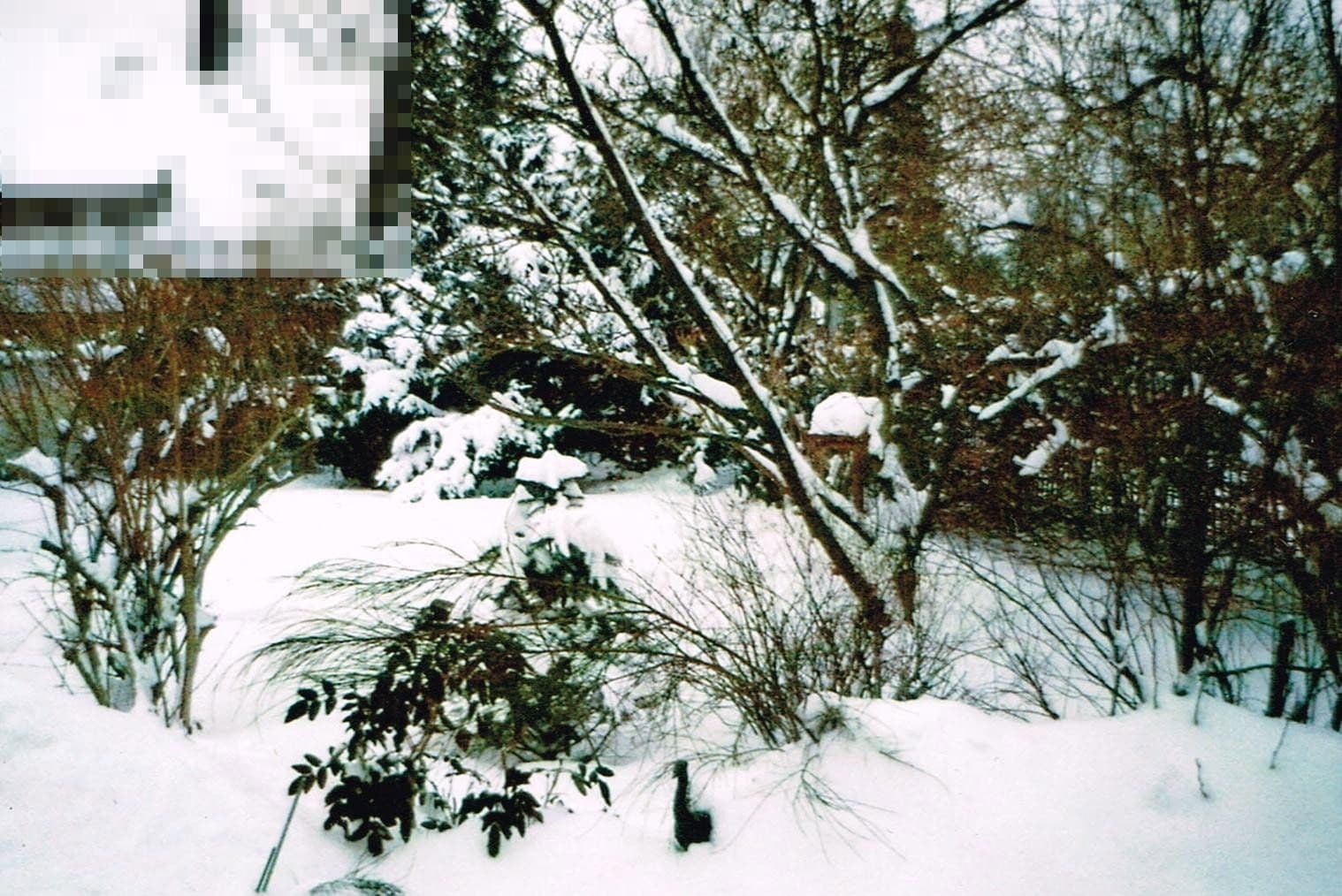 Prodej pozemku 642 m², Gräfelfing, Bavorsko Prodej pozemku 642 m², Gräfelfing, Bavorsko