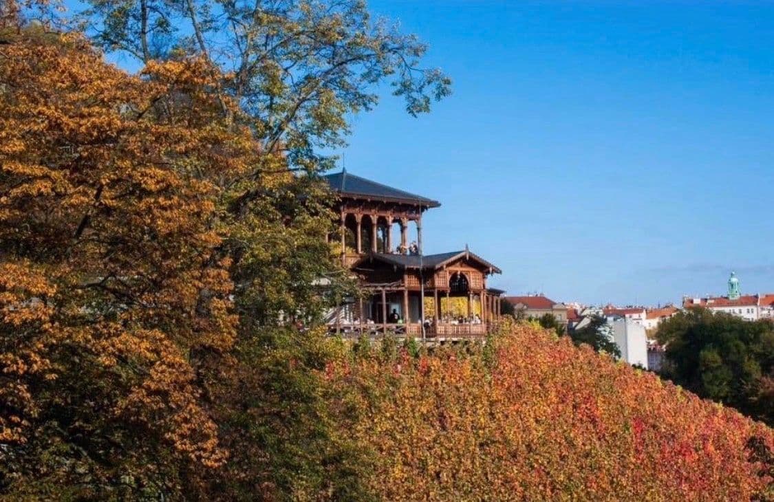 Pronájem bytu 4+1 20 m², Londýnská, Praha, Praha Pronájem bytu 4+1 20 m², Londýnská, Praha, Praha