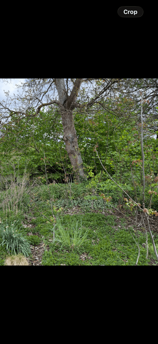 Prodej pozemku 354 m², Řevnice, Středočeský kraj Prodej pozemku 354 m², Řevnice, Středočeský kraj