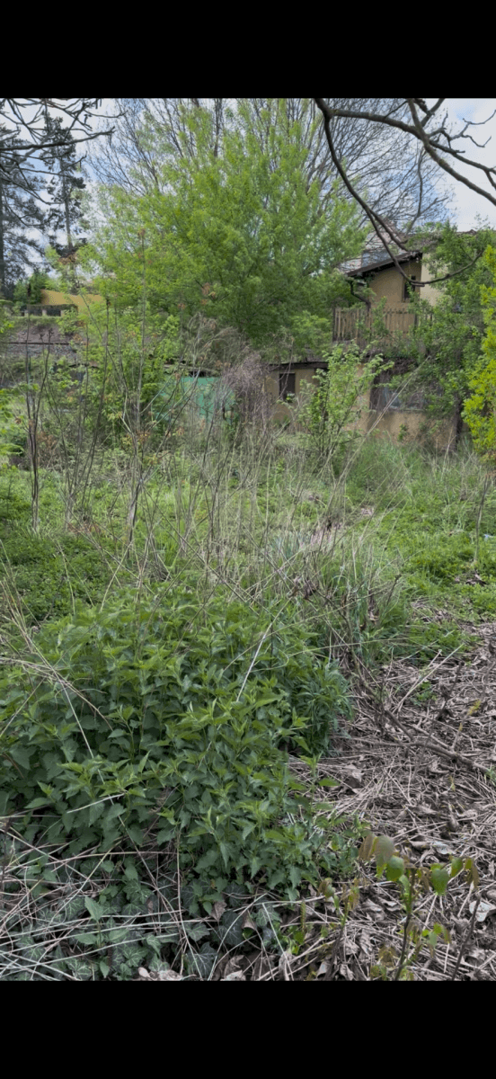 Prodej pozemku 354 m², Řevnice, Středočeský kraj Prodej pozemku 354 m², Řevnice, Středočeský kraj