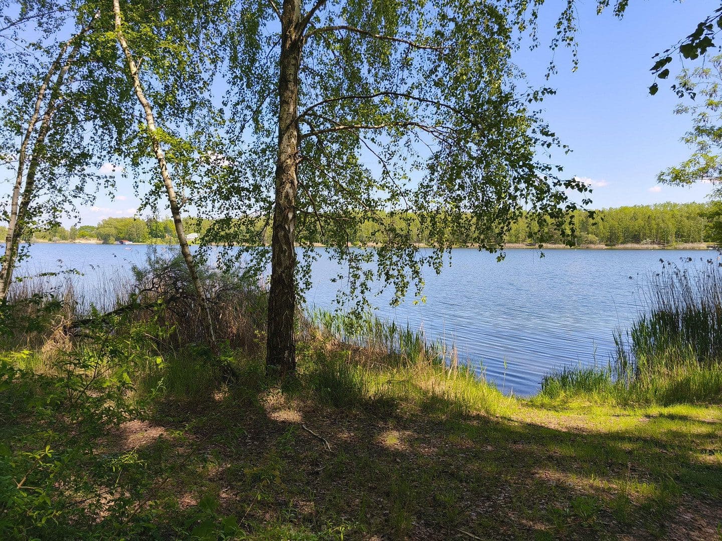 Prodej domu 88 m², pozemek 250 m², Ringweg 26, Gräfenhainichen, Sasko-Anhaltsko Prodej domu 88 m², pozemek 250 m², Ringweg 26, Gräfenhainichen, Sasko-Anhaltsko
