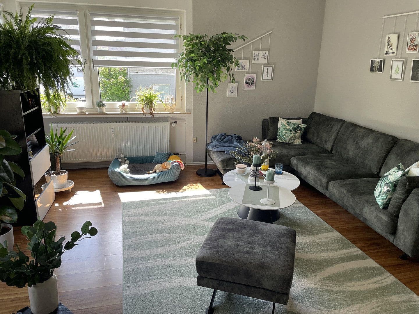 Pronájem bytu 4+1 90 m², Schieder-Schwalenberg, Severní Porýní-Vestfálsko Pronájem bytu 4+1 90 m², Schieder-Schwalenberg, Severní Porýní-Vestfálsko